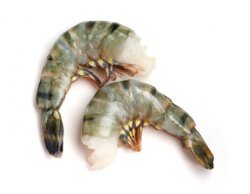 Shrimp-black-tiger-16-20-Tail-on-PUD