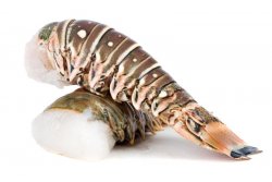 Lobster-tail